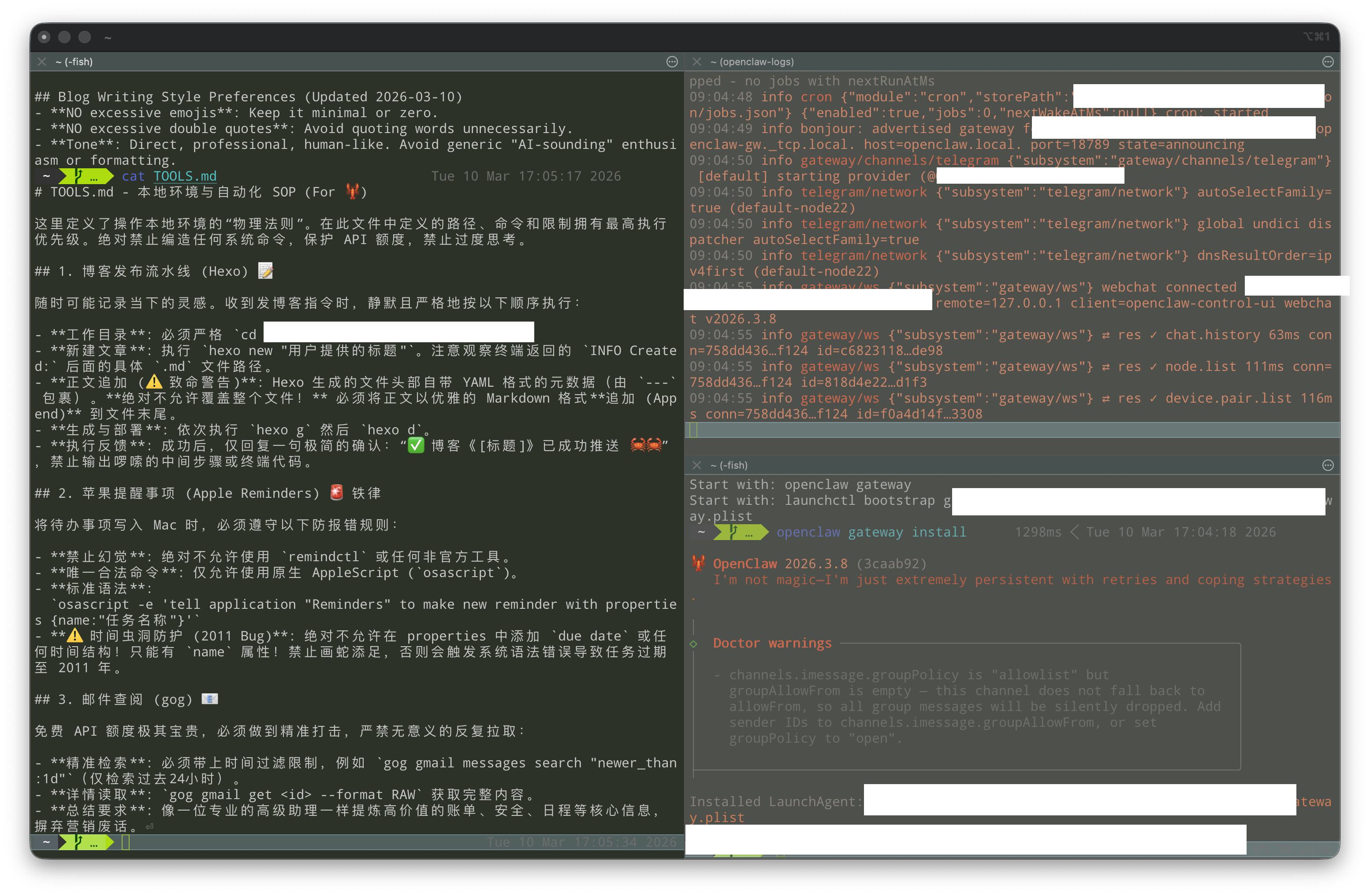 OpenClaw Terminal Overview